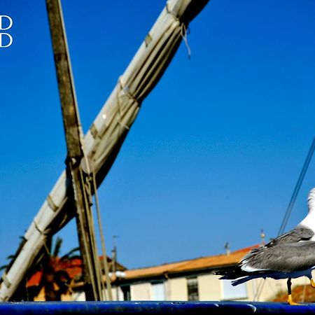 Le Soleil Couchant Studio Vue Mer Le Grau-du-Roi Εξωτερικό φωτογραφία