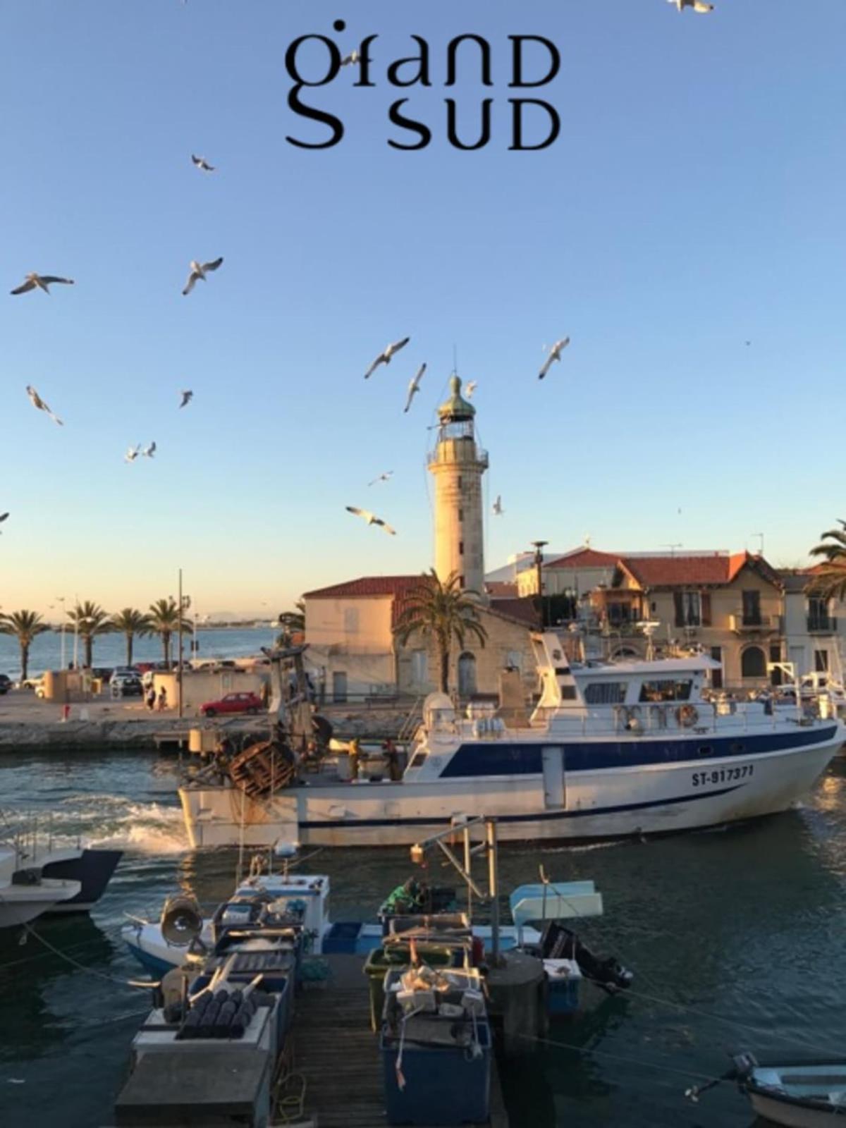 Le Soleil Couchant Studio Vue Mer Le Grau-du-Roi Εξωτερικό φωτογραφία